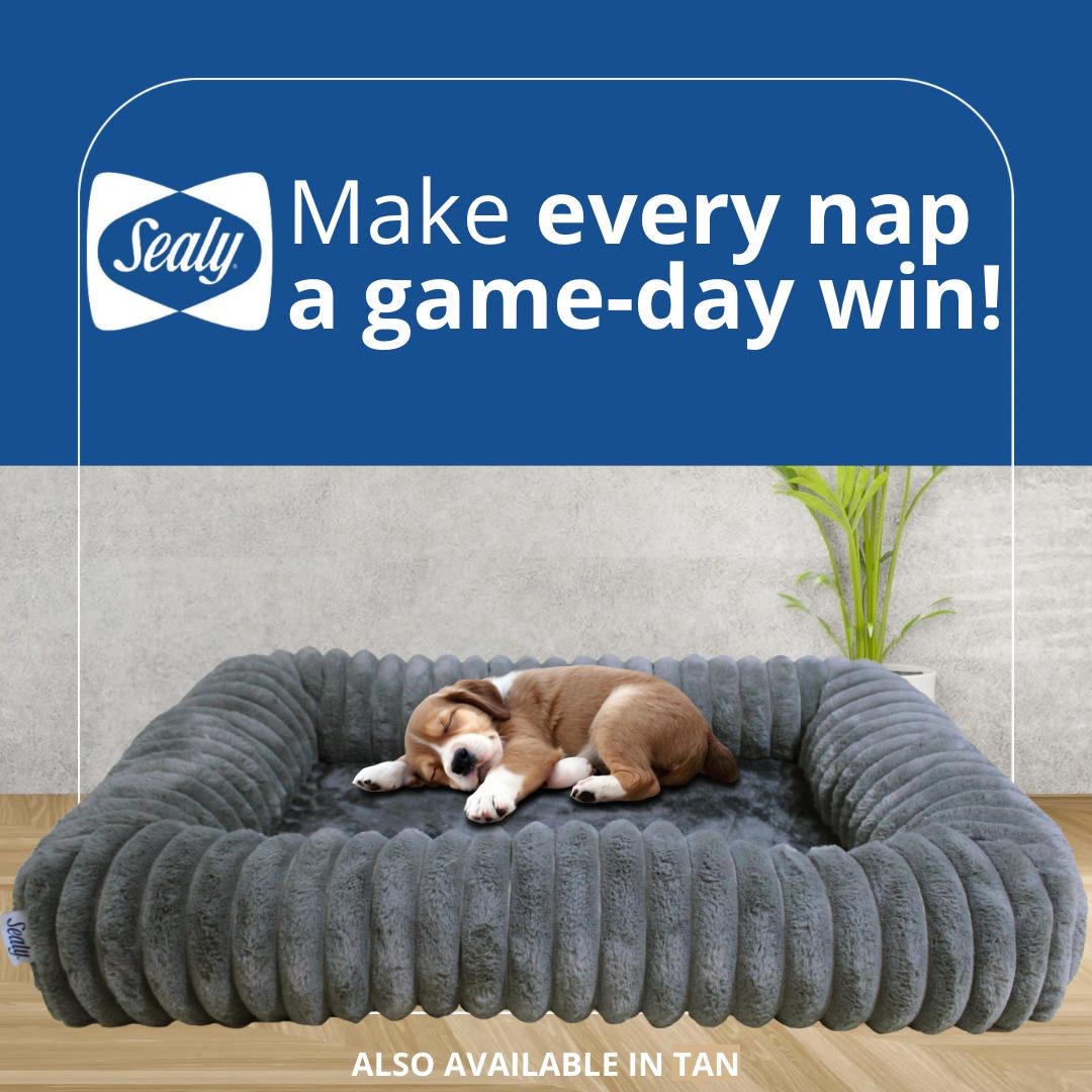 Sealy® Snuggle Support Pet Bed Gray