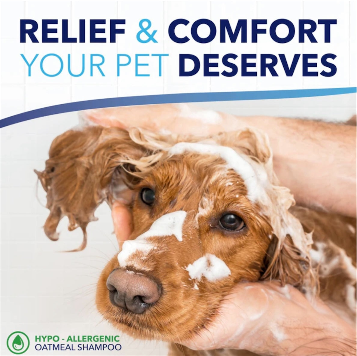 TropiClean OxyMed Allergy Itch Relief Pet Shampoo