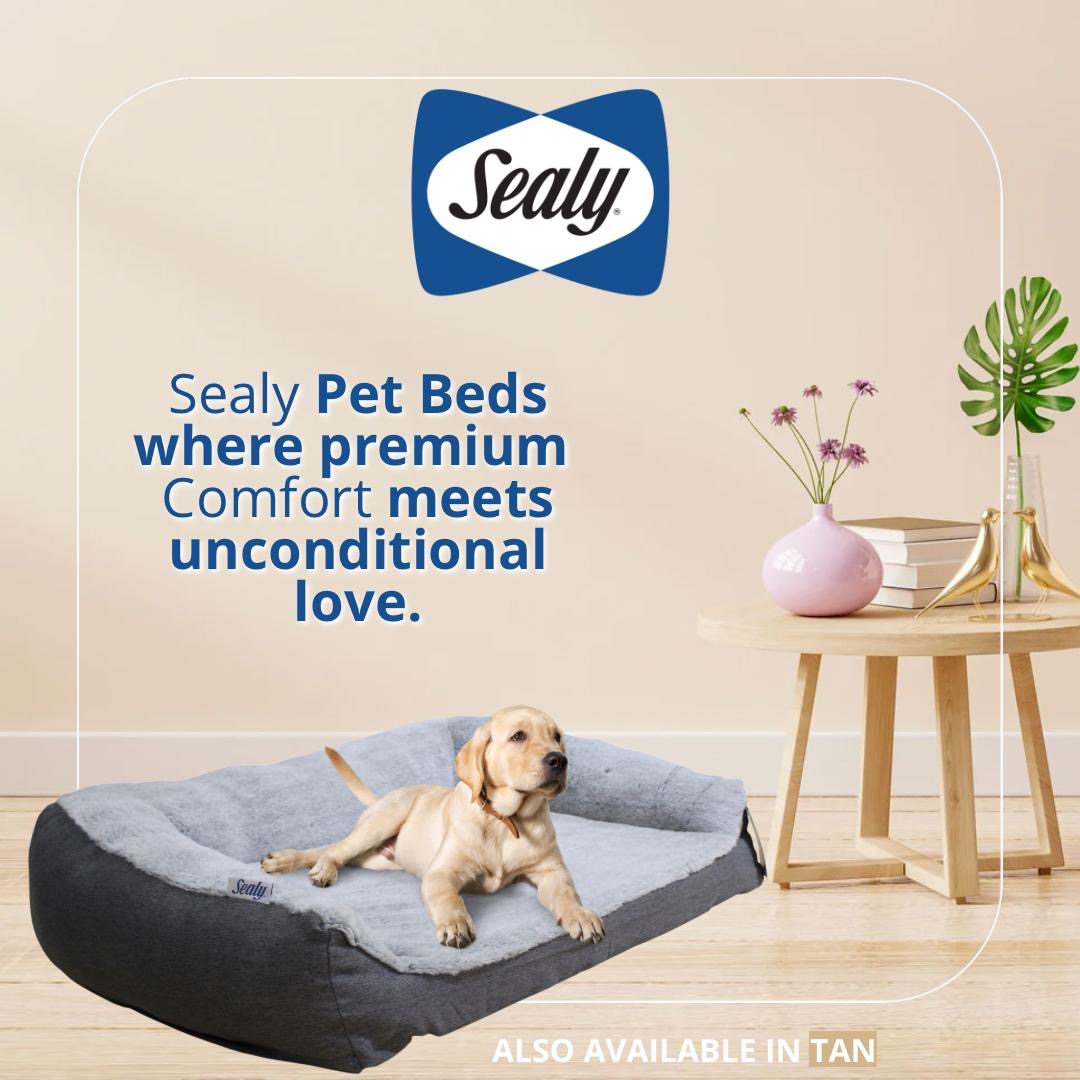 Sealy® Supportive Plush Pet Couch Gray