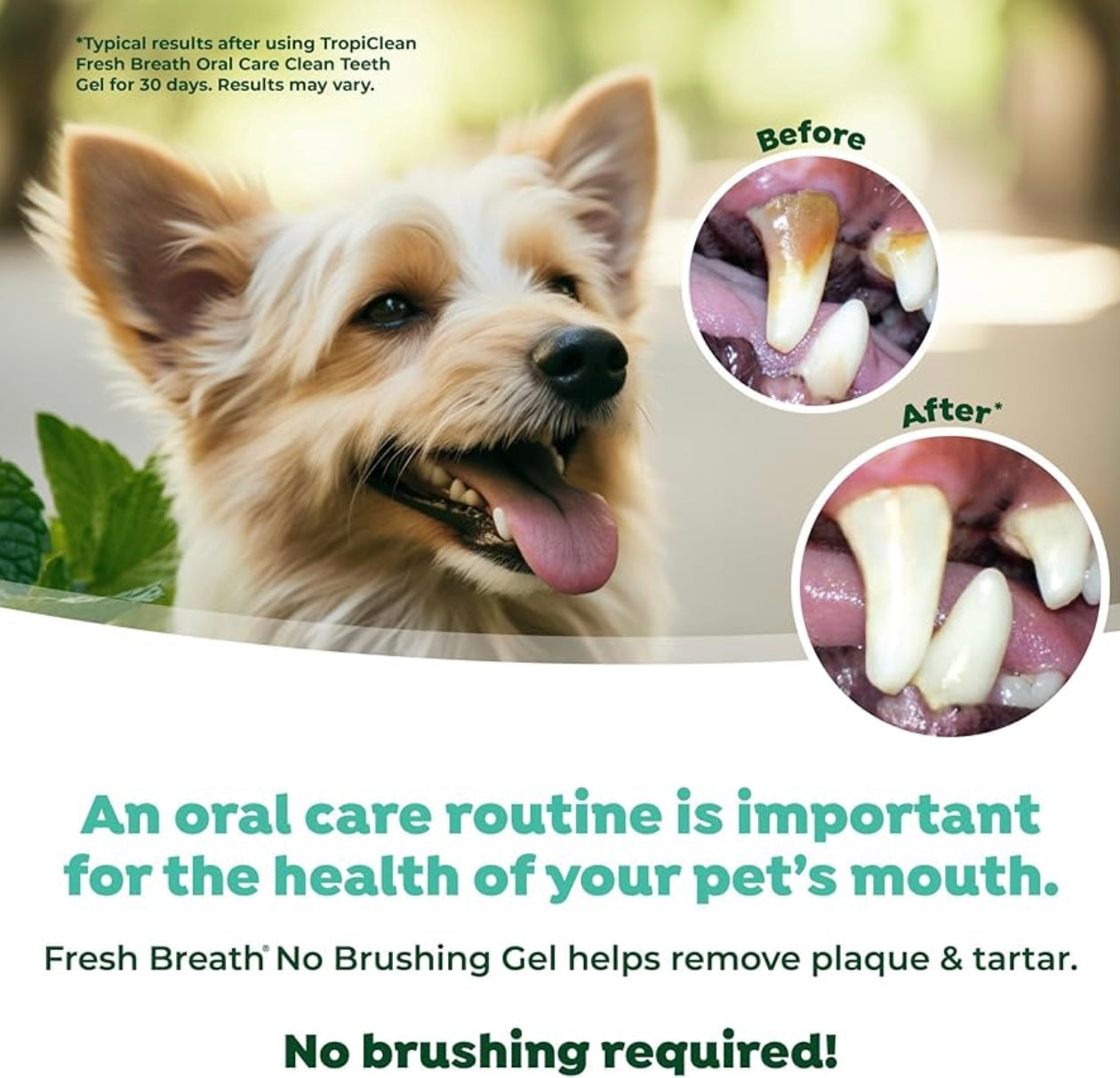 TropiClean Fresh Breath Peanut Butter Dental & Oral Care Gel for Dogs
