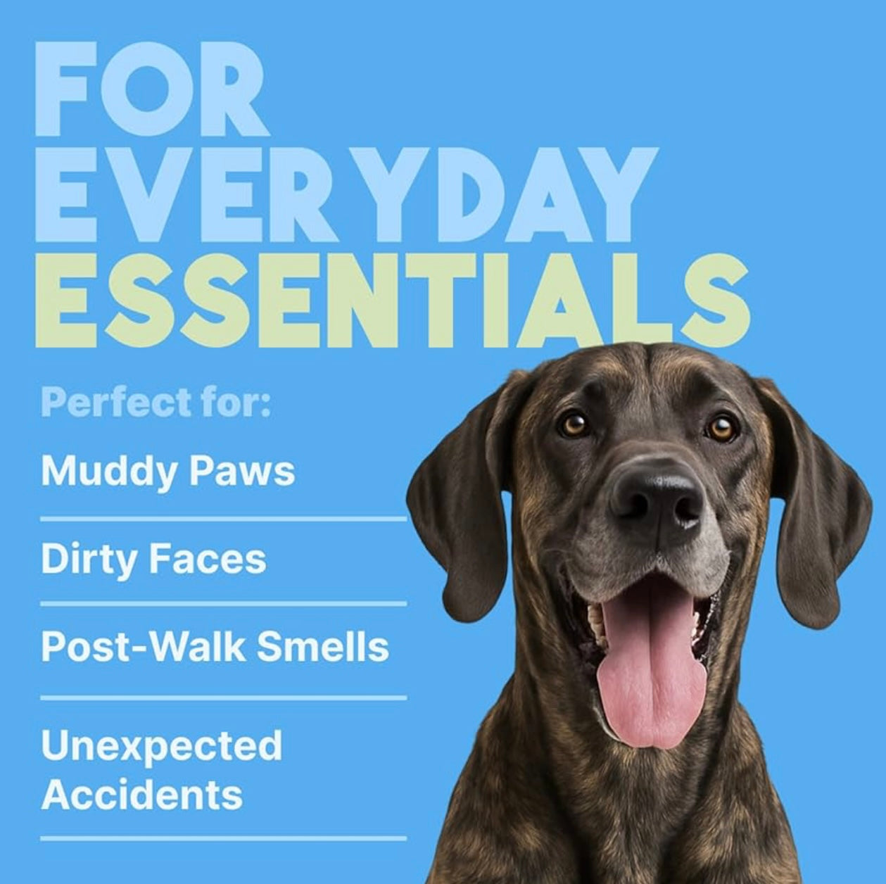 TropiClean Hypoallergenic Cleaning Pet Wipes