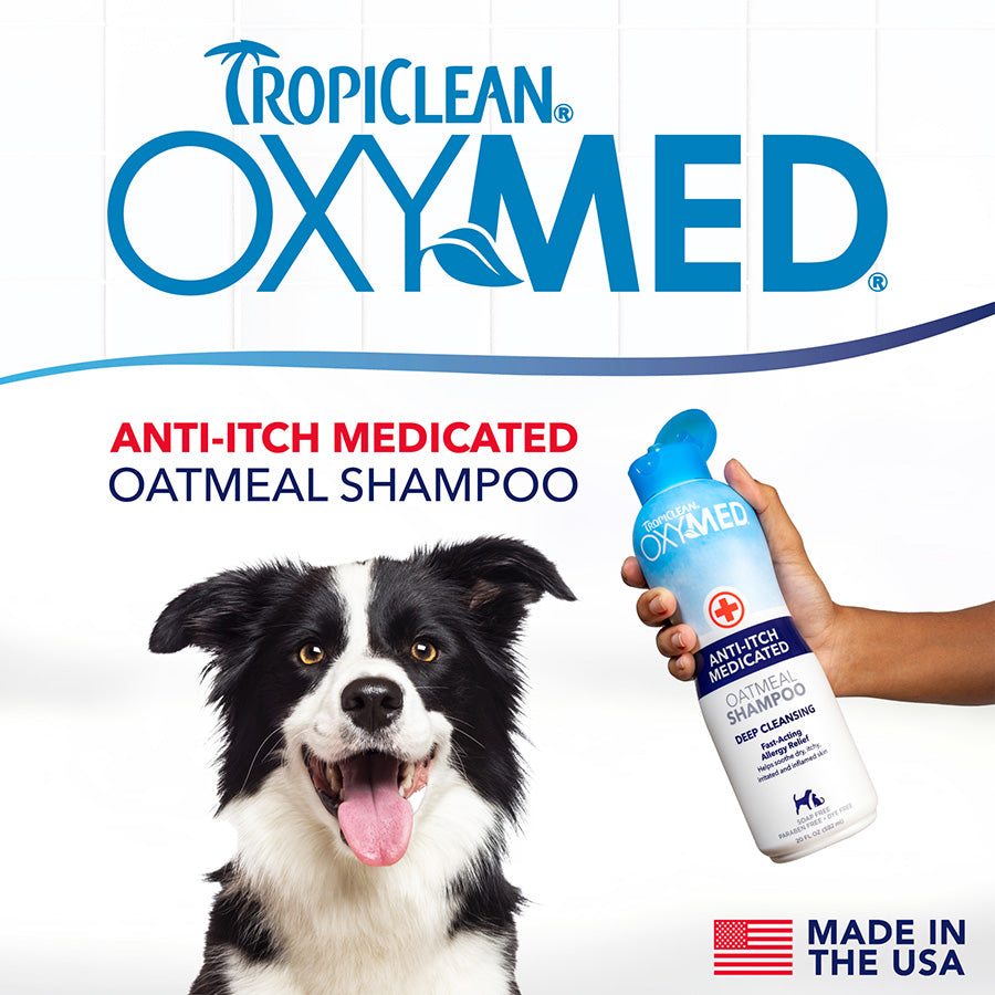 TropiClean OxyMed Medicated Anti Itch Shampoo for Pets